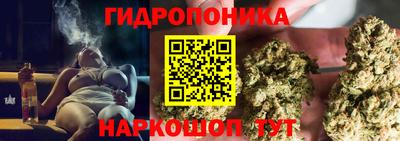 шишки Долгопрудный
