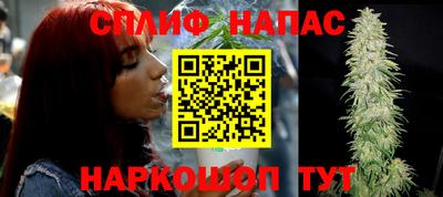 шишки Долгопрудный
