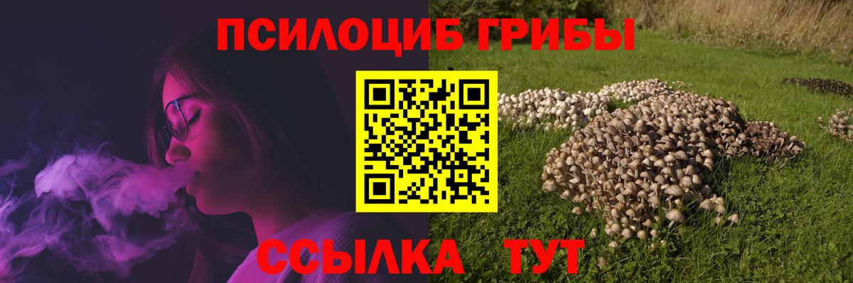 Псилоцибиновые грибы GOLDEN TEACHER  Галлюциногенные грибы мухоморы  Верхний Уфалей  Вход с VPN 